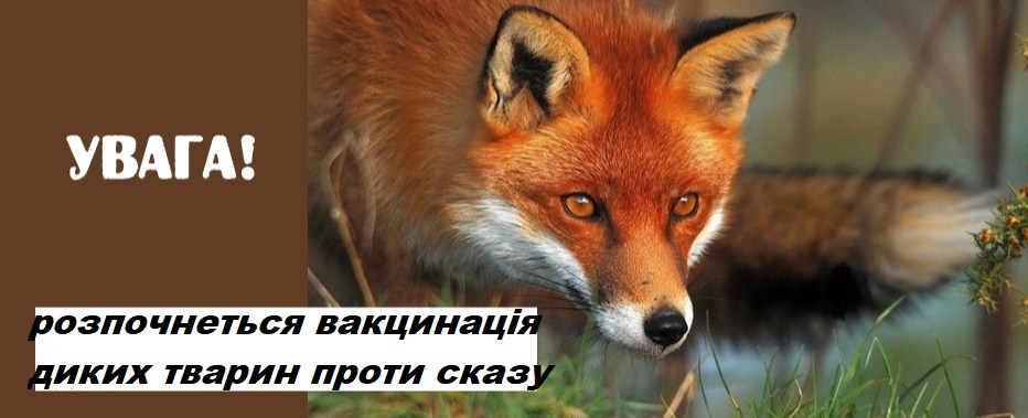 995049b9009c7a02001185a8921b0e8f