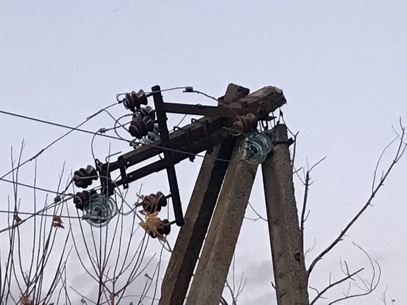 photo 5424931676879967712 y 1
