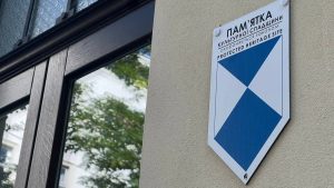 e6337b6c58977d93 300x169