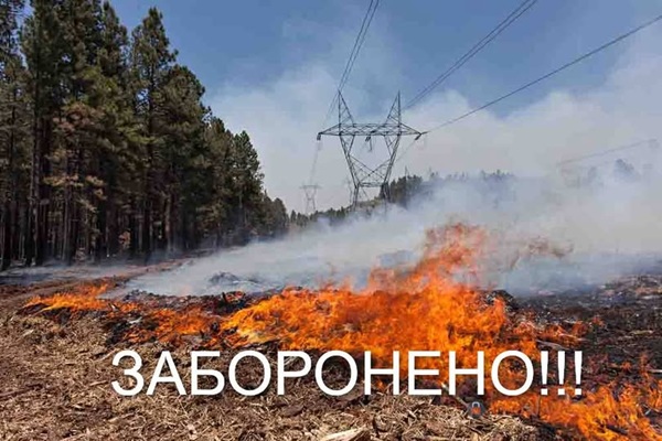 634172177 2126293368117637 4701873533573515862 n