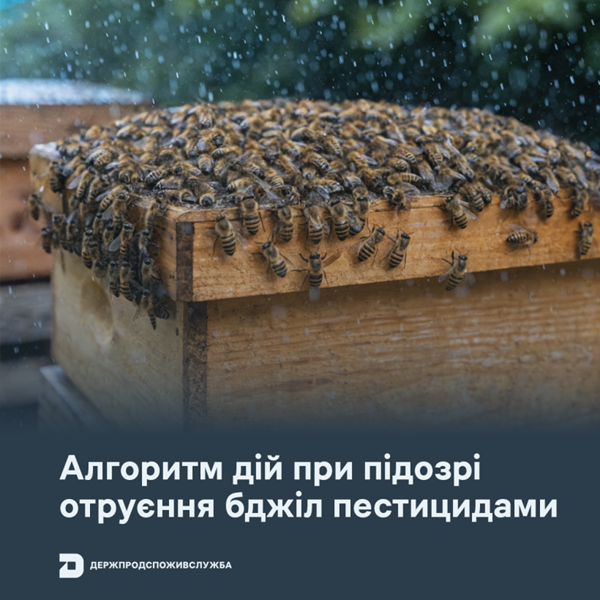 52c1d97a6f0099b029f759fca44adb88