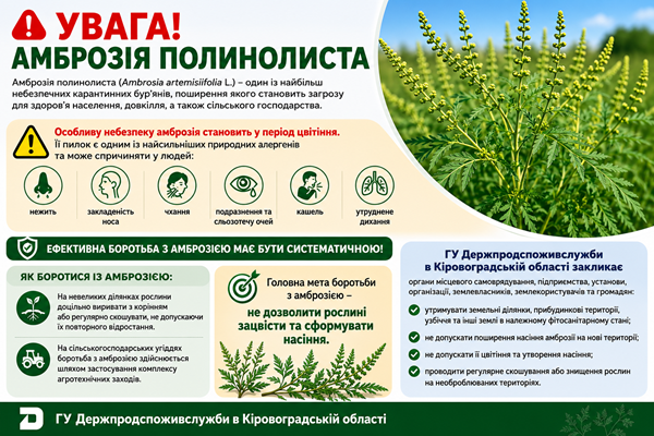  Амброзiя полинолиста