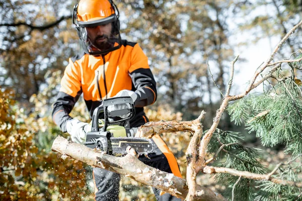 depositphotos 321366880 stock photo lumberman workignn in the forest